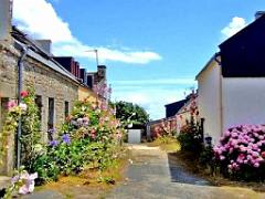 156 ILE DE HOEDIC_000064